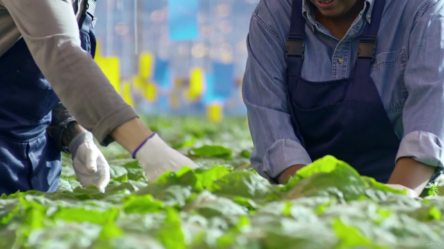 Master Course : Rural Management & Agribusiness Management – Screenshot 3