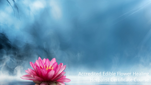 Accredited Edible Flower Healing Herbalist Certificate – Screenshot 3