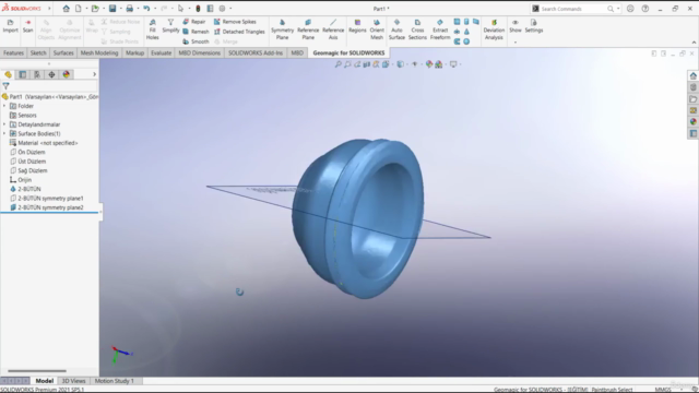 Geomagic for SolidWorks ile Tersine Mühendislik – Screenshot 2
