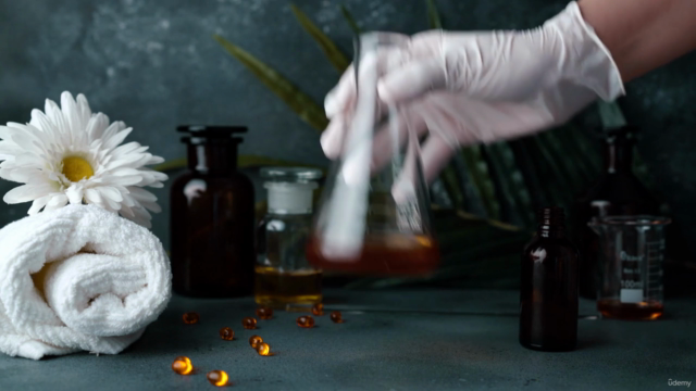 Essential Oils Alchemy: Transform Your Health and Home – Screenshot 3