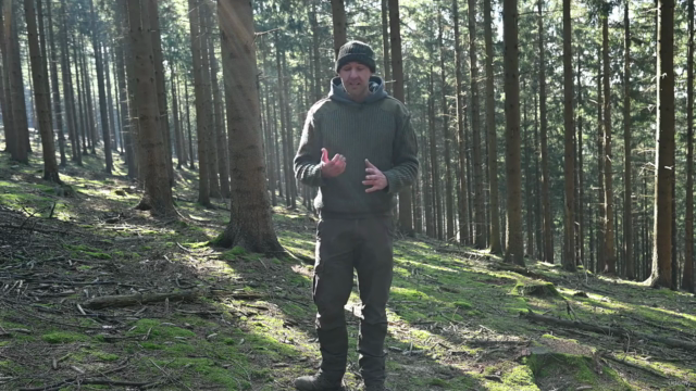 Creating a fir and pine forest in Blender – Screenshot 1