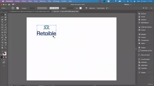 Maitrisez le Branding : Du logo à la charte graphique – Screenshot 3