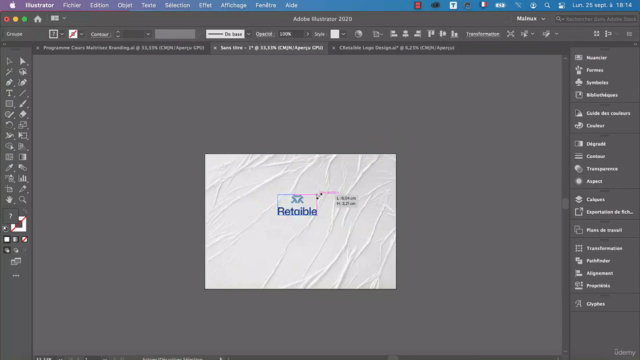 Maitrisez le Branding : Du logo à la charte graphique – Screenshot 4