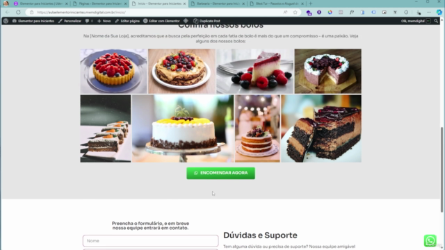 Do Zero a Intermediário: Curso de Elementor + WordPress – Screenshot 1