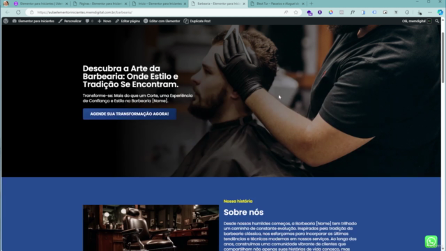 Do Zero a Intermediário: Curso de Elementor + WordPress – Screenshot 2