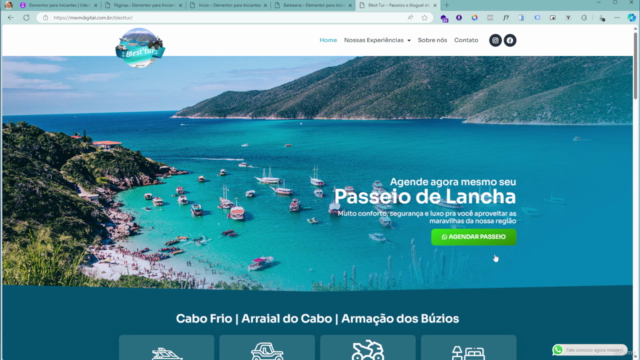 Do Zero a Intermediário: Curso de Elementor + WordPress – Screenshot 4
