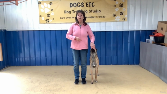 Beginning Dog Dance For Fun or Sport – Screenshot 1