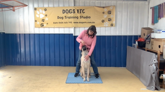 Beginning Dog Dance For Fun or Sport – Screenshot 2