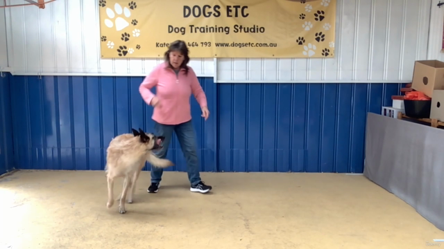 Beginning Dog Dance For Fun or Sport – Screenshot 3