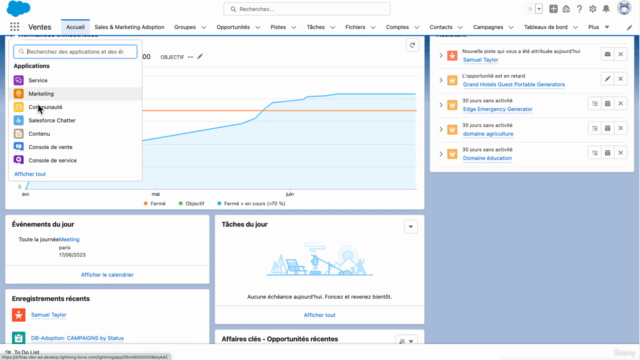 Maîtrisez Salesforce : Votre Guide Débutant en CRM 2025 – Screenshot 3