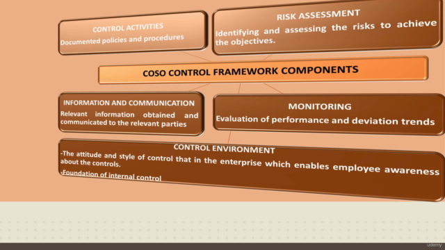 Essentials Of Internal Audit – Screenshot 3