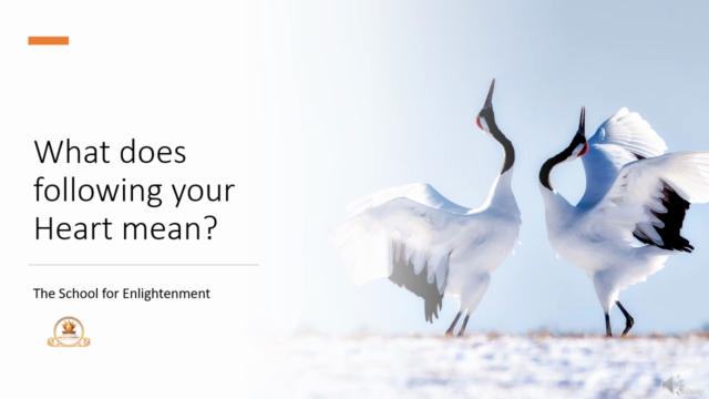 Transform Your Emotions Into Unconditional Love – Screenshot 1