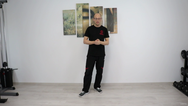 Die dritte Sektion Chi Sao im Wing Tsun – Screenshot 1