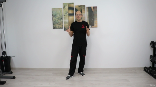 Die dritte Sektion Chi Sao im Wing Tsun – Screenshot 2