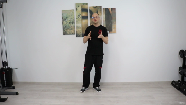 Die dritte Sektion Chi Sao im Wing Tsun – Screenshot 3