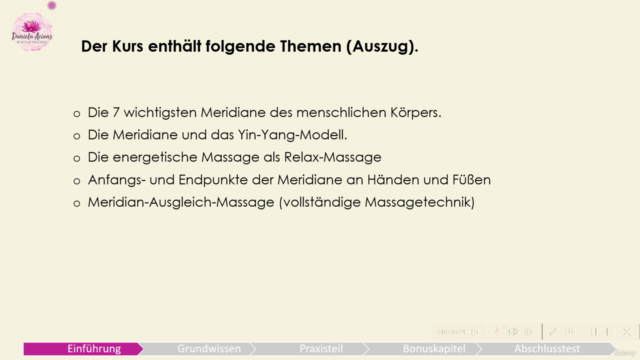 Intensivlehrgang Meridian-Ausgleichs-Massage – Screenshot 2
