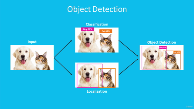Deep Learning for Object Detection with Python and PyTorch – Screenshot 1