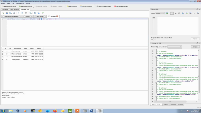 Base de Datos SQlite DB Browser para Novatos – Screenshot 3