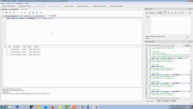 Base de Datos SQlite DB Browser para Novatos – Screenshot 4