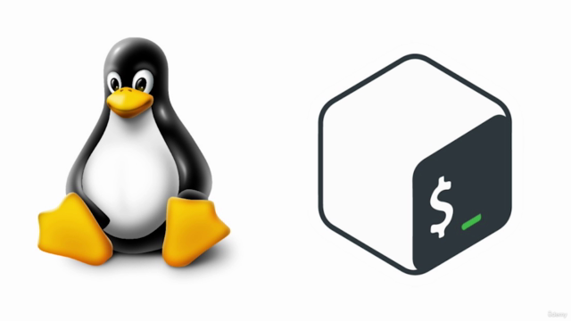 Bash Shell Scripting Bootcamp: 10 Project-Based Learnings – Screenshot 1
