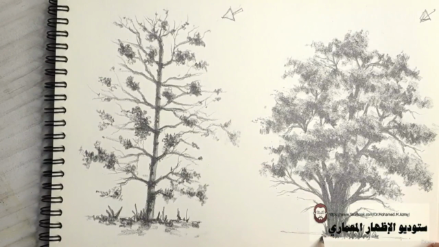 أسرار رسم اشجار اللاندسكيب بالقلم الرصاص - Screenshot_04