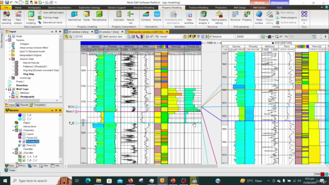 Static Modeling in Petrel – Screenshot 4