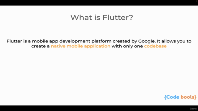 Flutter App Development for the beginners in hindi – Screenshot 1