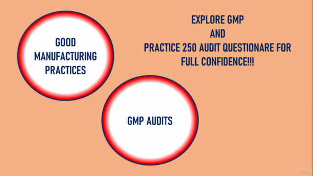 Good Manufacturing Practices (GMP) & GMP AUDITS – Screenshot 1