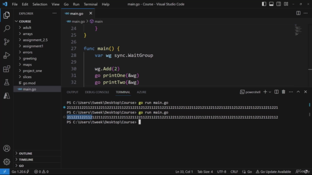 Master Go Programming – Screenshot 2