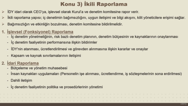 İç Denetimin Esasları – Screenshot 2