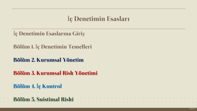 İç Denetimin Esasları – Screenshot 4
