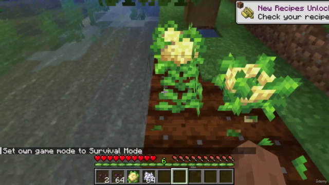 Modding By Kaupenjoe: Minecraft Modding 1.20.X for Fabric – Screenshot 1