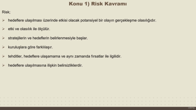 Kurumsal Risk Yönetimi – Screenshot 2