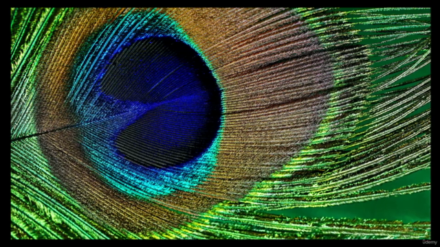 Freedom Unlocked: Transcending Societal & Religious Conditio – Screenshot 2