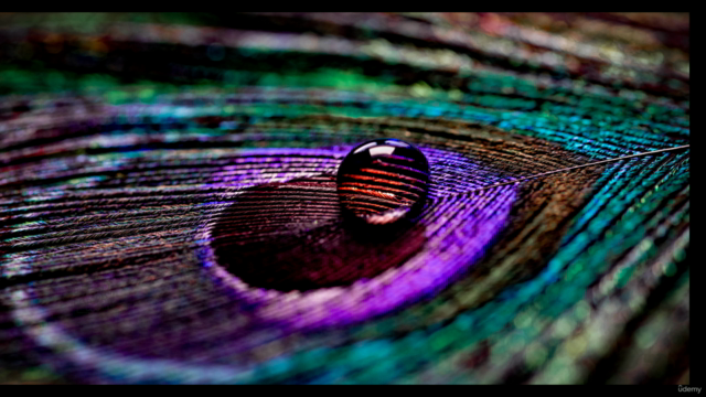Freedom Unlocked: Transcending Societal & Religious Conditio – Screenshot 4