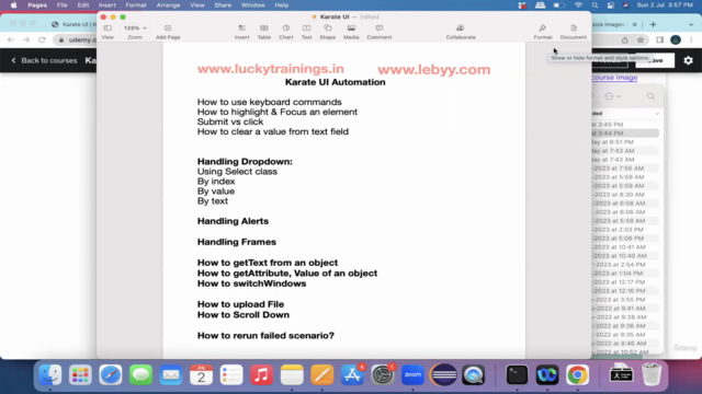 Karate Framework - UI Automation – Screenshot 1