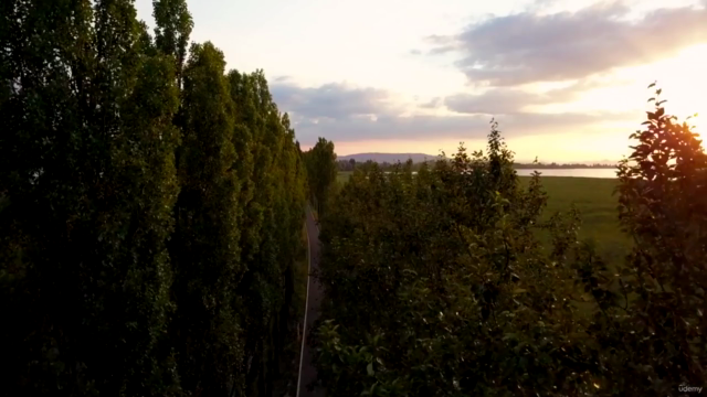 The Art of Landscape Architecture – Screenshot 1