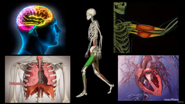 Transformaciones asombrosas del cuerpo por el ejercicio. – Screenshot 2