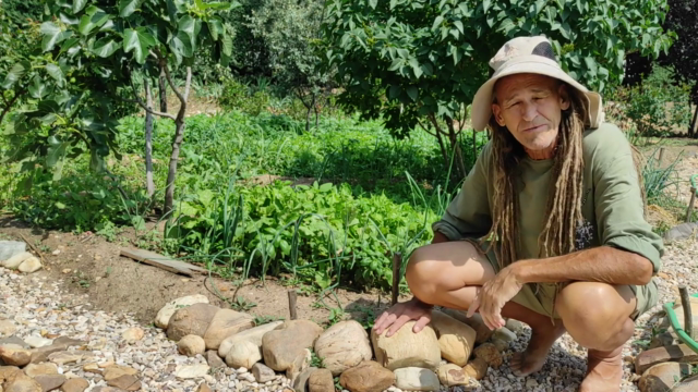 ONE-DAY Food Forest! Farming For the New Reality – Screenshot 1