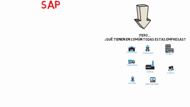 Qué es SAP - Curso básico de introducción – Screenshot 2