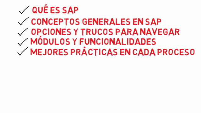 Qué es SAP - Curso básico de introducción – Screenshot 4
