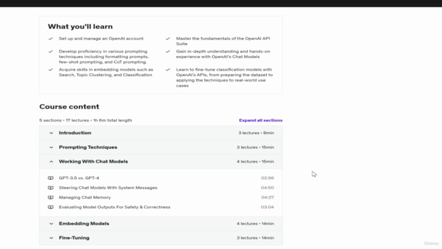 ChatGPT For Developers: Mastering OpenAI's APIs with Python – Screenshot 2