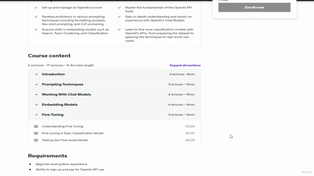 ChatGPT For Developers: Mastering OpenAI's APIs with Python – Screenshot 4