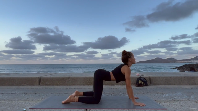 Yoga Movilidad para Todo el Cuerpo (Flexibilidad y Postura) – Screenshot 3