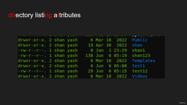 Linux Essentials to Expert: A Complete Masterclass – Screenshot 1
