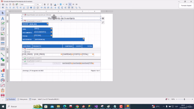 Desarrollo Profesional de Aplicaciones (C#,DevExpress,Sql) – Screenshot 4