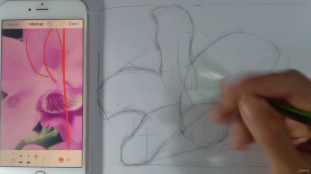 Drawing an Orchid in 5 Easy Steps. – Screenshot 3