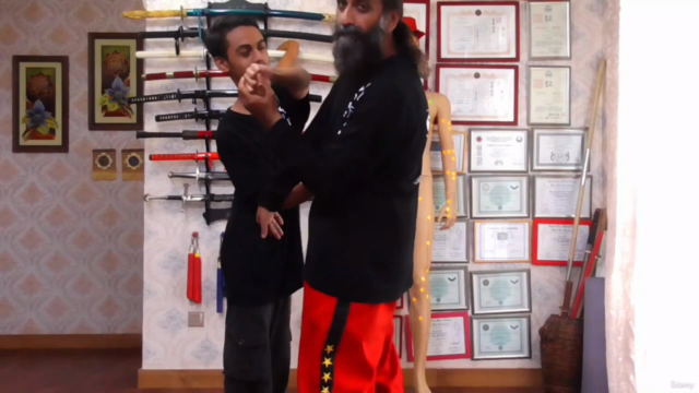 Kyusho Jutsu Rear Attacks - The Yin Yang Principle – Screenshot 2