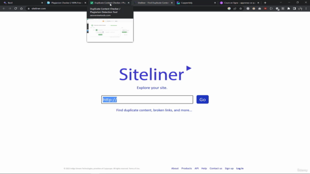 Gemini AI : Le cours complet pour maîtriser l'IA de Google – Screenshot 3
