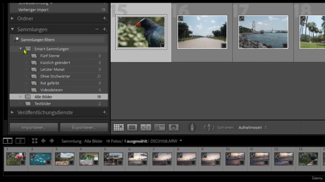 Adobe Lightroom - Komplettkurs für Einsteiger – Screenshot 1
